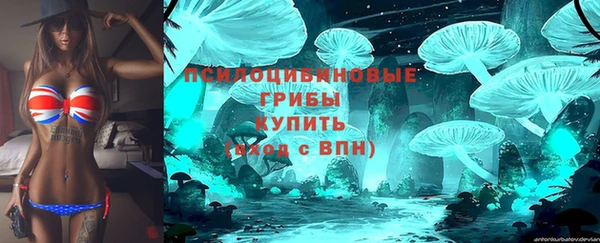ALPHA PVP Аркадак