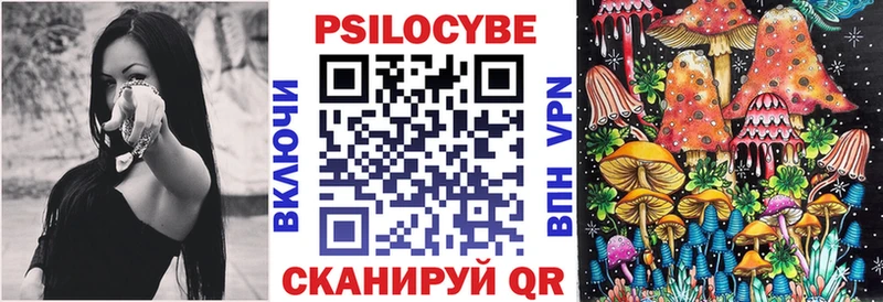 Галлюциногенные грибы прущие грибы  закладка  Кашин 